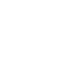 Execution Background